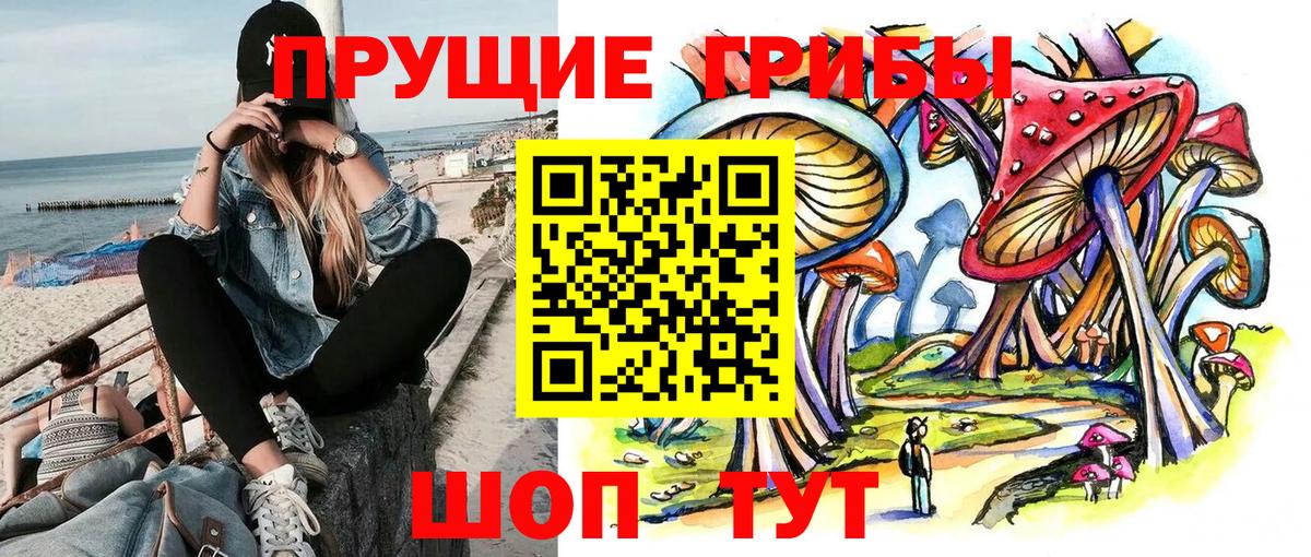 Псилоцибиновые грибы GOLDEN TEACHER Владикавказ